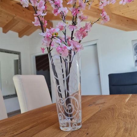 Jungfrau Penthouse - Aare Jungfrau Ag Appartement Wilderswil Buitenkant foto